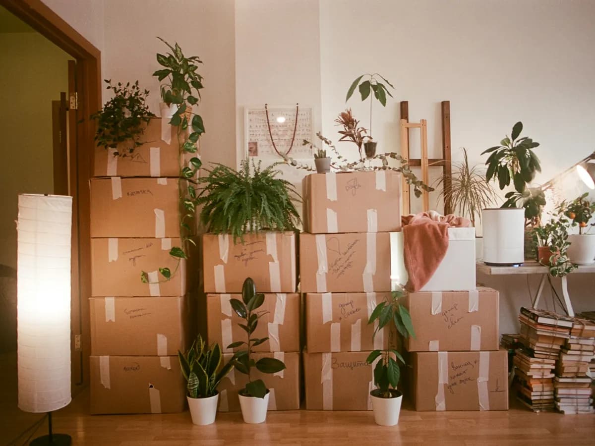 Packed moving boxes and houseplants stacked in a room, ready to go